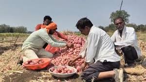 1. Harvesting