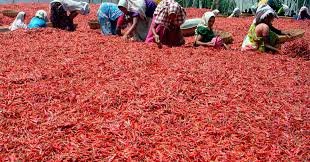 1. Harvesting