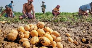 1. Harvesting