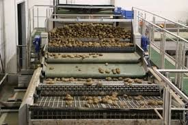 2. Sorting & Quality Inspection