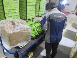 2. Sorting & Quality Inspection