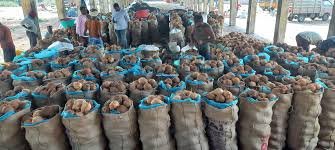 2. Sorting & Quality Inspection