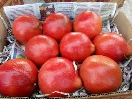 2. Sorting & Quality Inspection