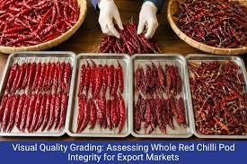 2. Sorting & Quality Inspection