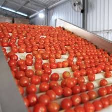 2. Sorting & Quality Inspection