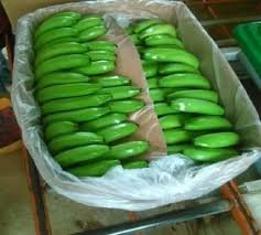 3. Packaging & Documentation