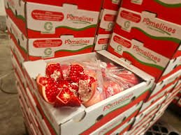 3. Packaging & Documentation