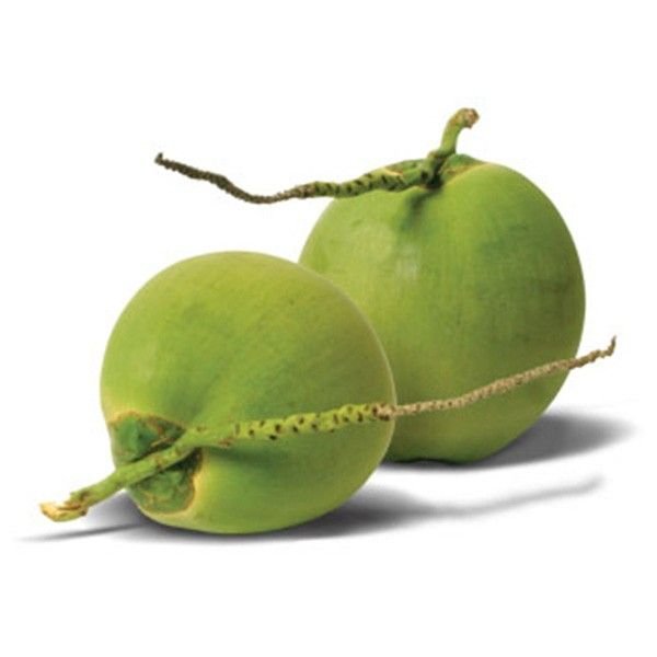Coconut